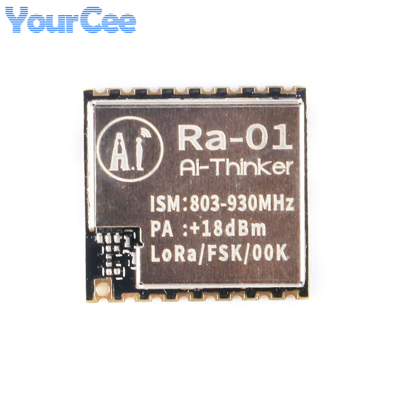 10 stks/1 st SX1276 LoRa Ra-01 - Lora Rfm95 recensie en prijs