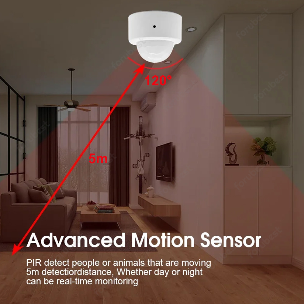 Zigbee 3.0 Menselijke beweging - Pir Motion Sensor recensie en prijs